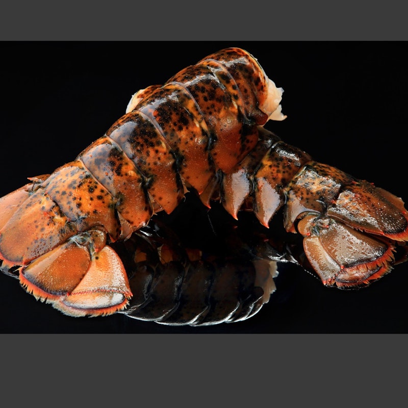 Order takeaway online from Manaia Seafood Boil, 31 Hill Street Onehunga